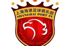 蓉城队中场核心小王受伤，赛季前景堪忧