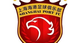 蓉城队中场核心小王受伤，赛季前景堪忧